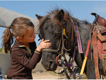 Passion Poney