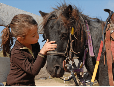 Passion Poney