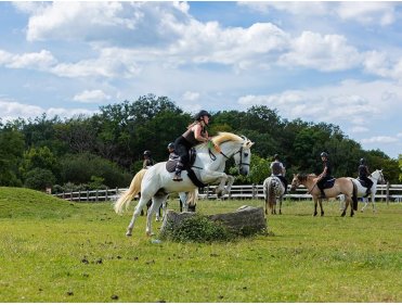 100% Equitation