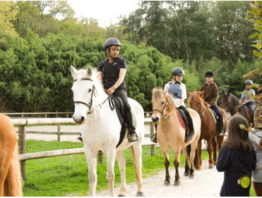 100 % Equitation