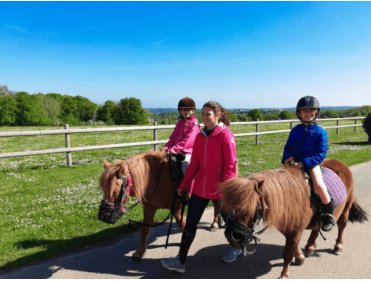 100% Nature & Poney