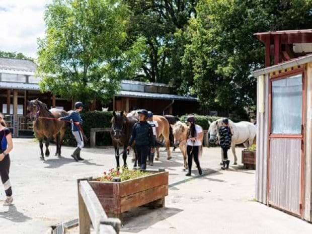 Vue sur les box des chevaux dans le centre de colonie de vacances au domaine de l'Espérance