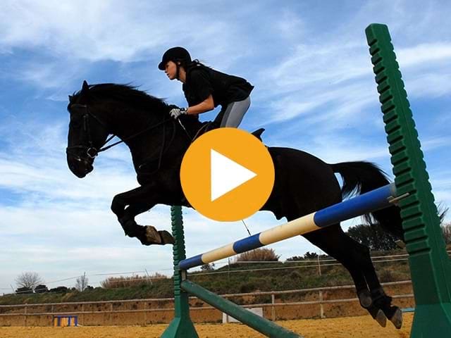 Domaine de l'Esperance, colos de vacances Equitation