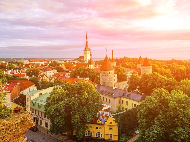 Paysage nordique pris en photo lors d'une colonie de vacances en Finlande et Estonie