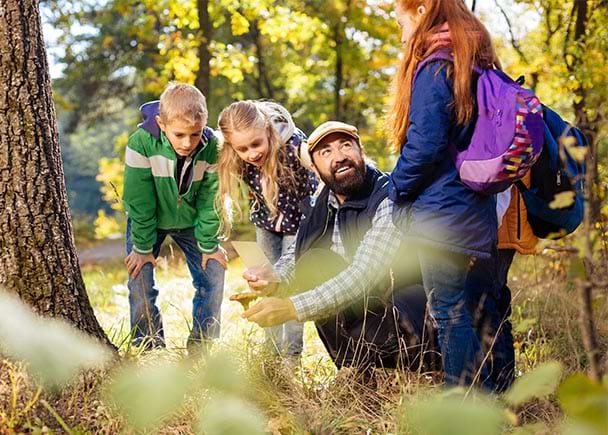 Accompagnateur montrant un champignon aux enfants en classe découverte