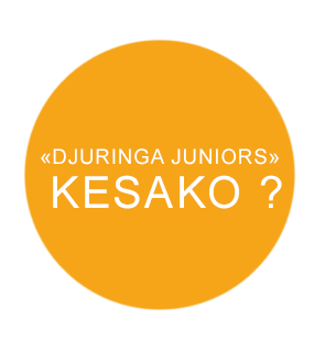 Cercle jaune signification Djuringa Juniors