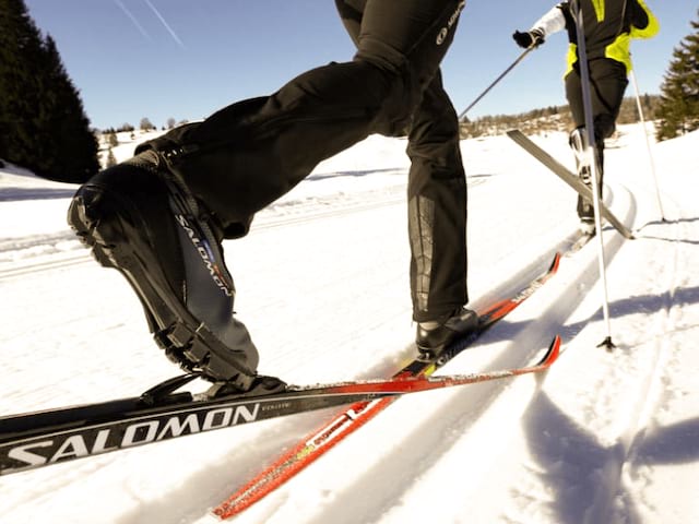 Ski de fond en colo de vacances Chiens de traineaux et ski cet hiver