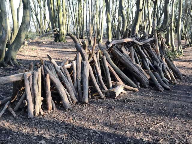 Construction de cabanes par les enfants lors de leur colo spéciale Halloween