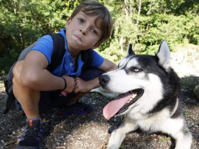 Activité cani rando en colonie de vacances durant la Toussaint