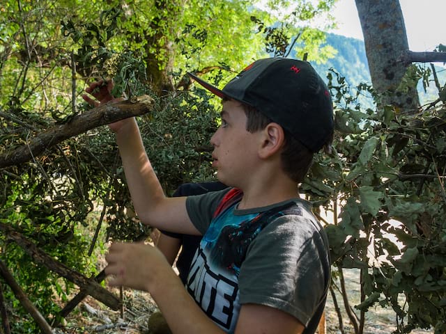 Jeune garçon qui construit une cabane dans les bois lors de sa colo de vacances de l'automne