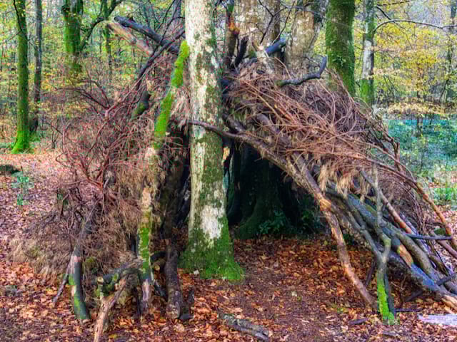 Construction de cabanes par les enfants lors de leur colo spéciale Halloween