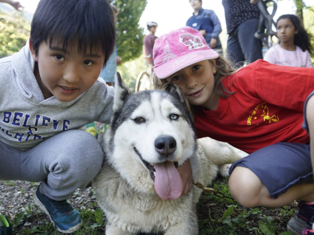 Activité cani rando en colonie de vacances durant la Toussaint