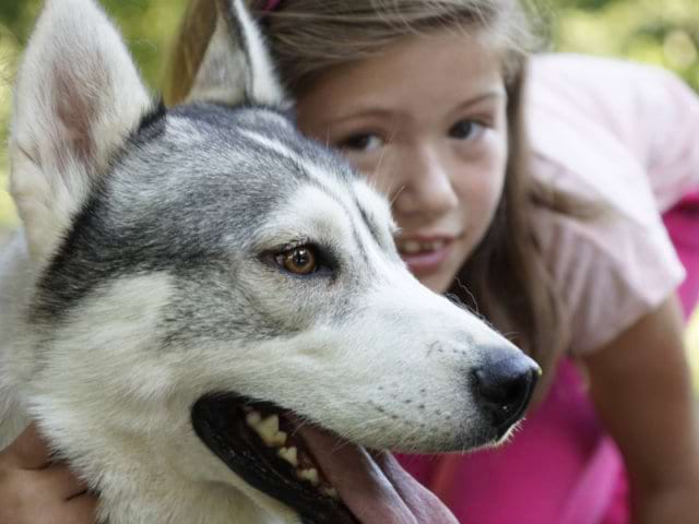 Activité cani rando en colonie de vacances durant la Toussaint