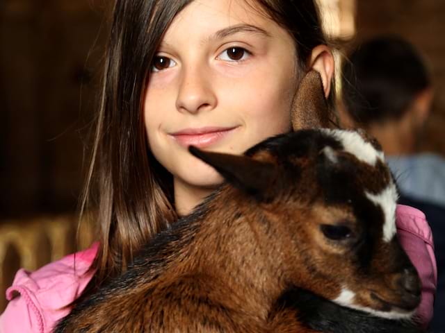 Portrait d'une jeune fille avec un chevreau dans les bras en colo à la ferme
