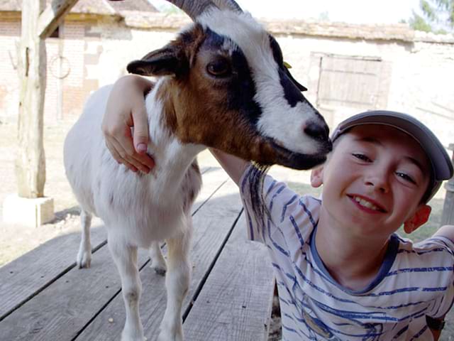 Portrait d'un jeune garçon avec une chèvre en colonie de vacances à la ferme cet été