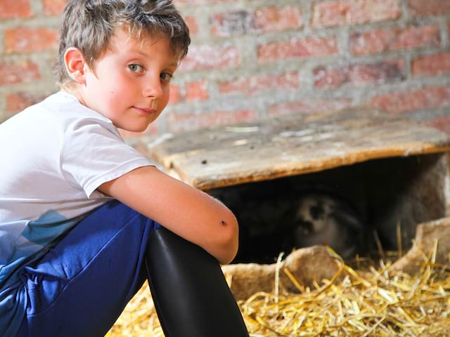 Garçon à la ferme en colonie de vacances d'été