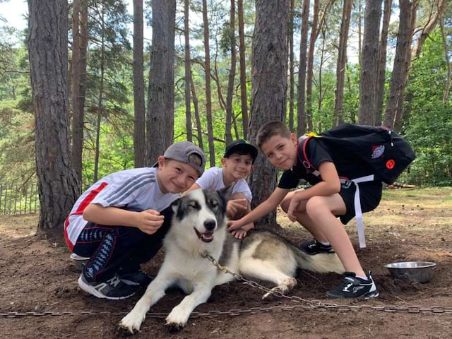 Activité cani rando en colonie de vacances durant la Toussaint