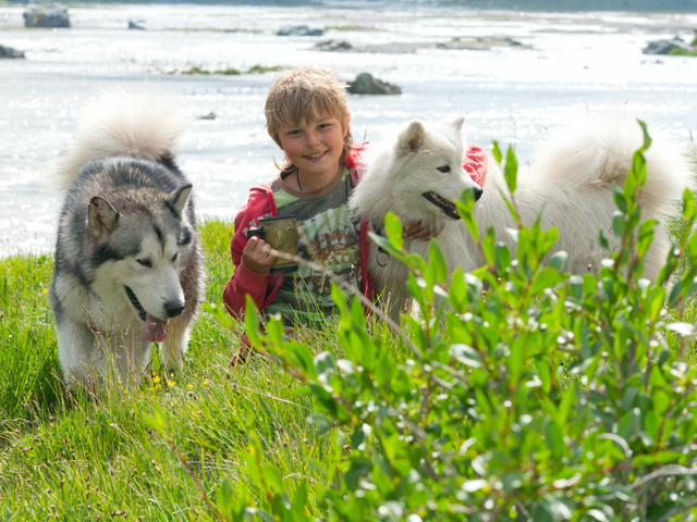 Jeune garçon avec deux husky en canirando en colonie de vacances
