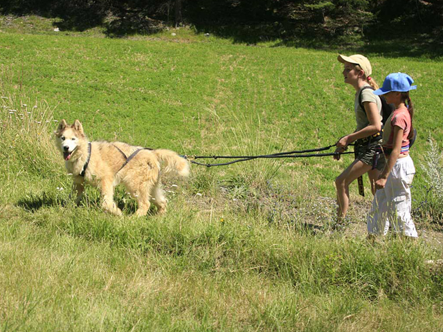 Deux fillettes en balade en canirando en colo