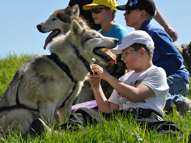 Groupe d'enfants et leur chien de canirando en colonie de vacances