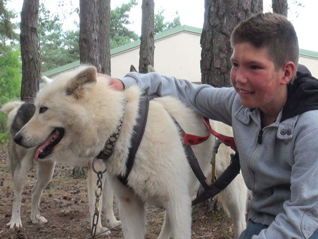 Enfant avec son chien en colonie de vacances d'été 