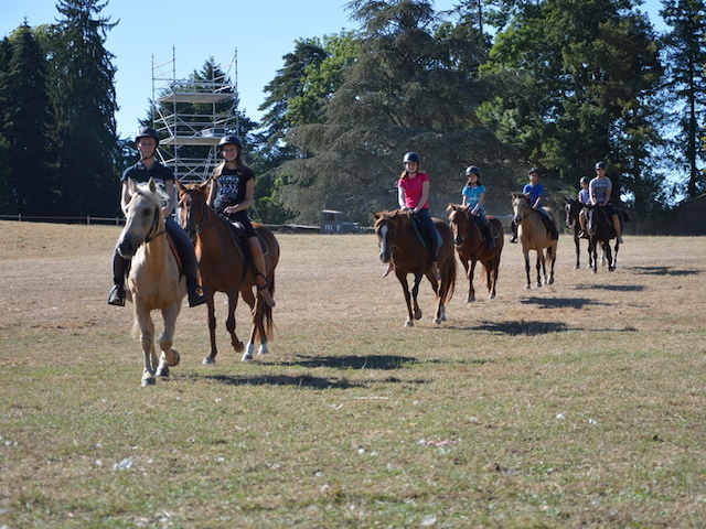 Groupes d'ados à cheval en colonie de vacances cet été 