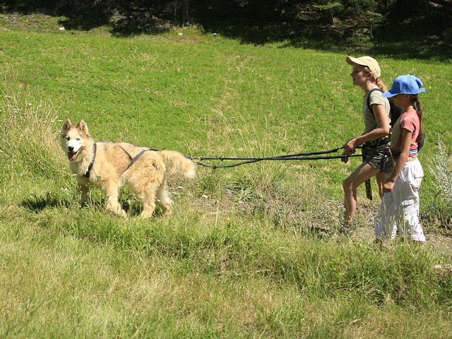 Enfants en balade en canirando en colo