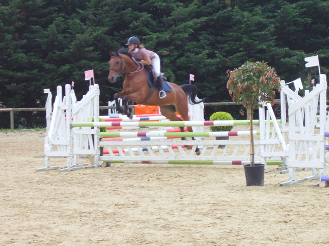 Adolescente et son cheval faisant du saut de haie en colo