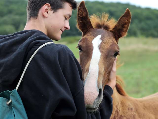 Ado en colonie de vacances Equitation durant le printemps