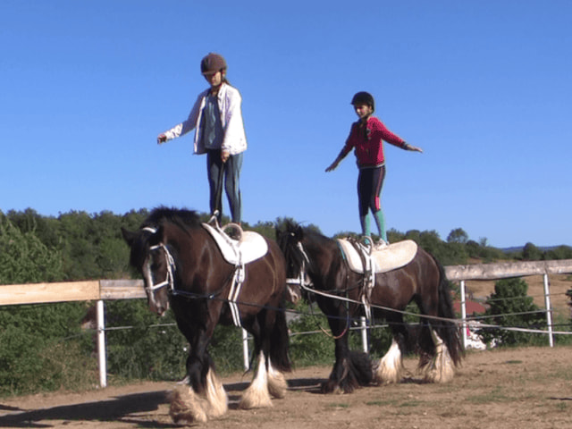 Initiation à la voltige équestre en colo de vacances Poneys et Cirque cet été pour les 8-14 ans