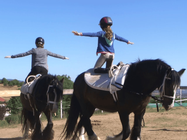Initiation à la voltige équestre en colo de vacances Poneys et Cirque cet été pour les 8-14 ans