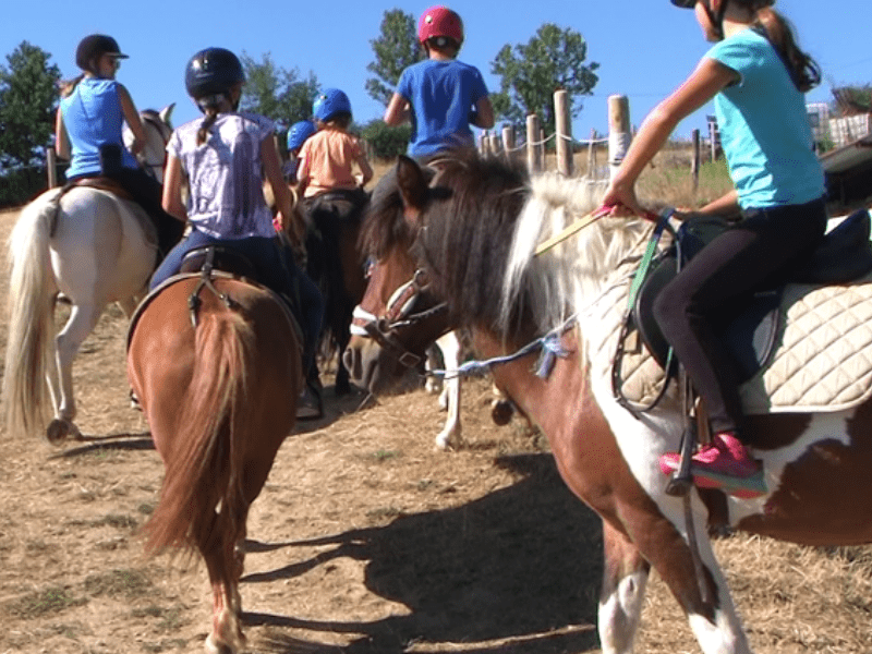 Groupe d'enfants en colo Equitation Poneys dans les monts lyonnais cet été