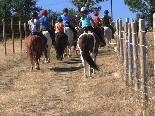 Balades à travers champs en colo de vacances Poneys dans les monts lyonnais cet été