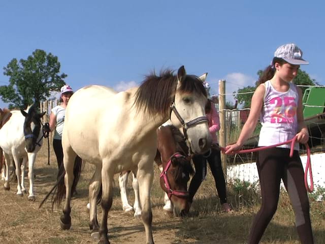 Balades en poneys en colo de vacances Poneys dans les monts lyonnais