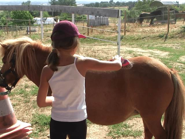 Enfant en colo de vacances Poneys dans les monts lyonnais cet été