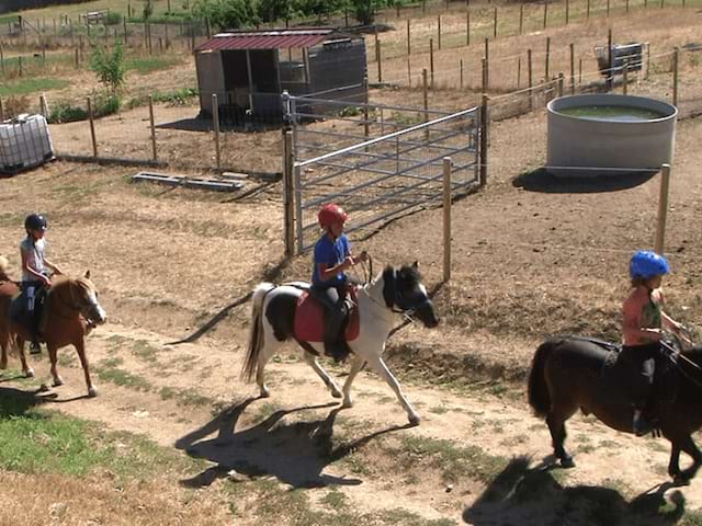 Balades à poneys en colo de vacances cet été