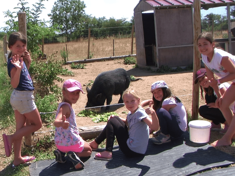 Enfants qui cajolent les animaux de la ferme en colo de vacances Poneys dans les monts lyonnnais