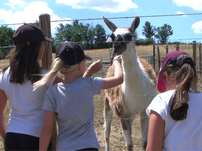 Enfants qui cajolent les animaux de la ferme en colo de vacances Cirque à Lyon