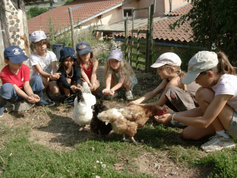 Enfants qui cajolent les animaux de la ferme en colo de vacances Cirque près de Lyon cet été