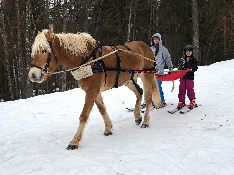 Enfant et son cheval en colonie de vacances Crinière et Boules de poils durant l'hiver