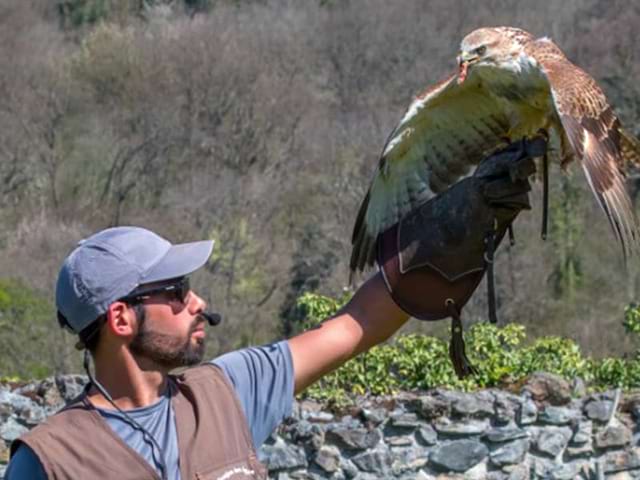 Donjon des Aigles en colo de vacances à la montagne cet été 