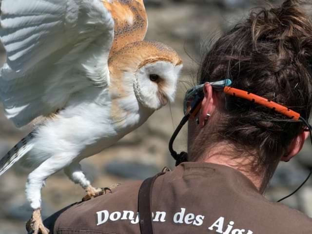 Enfants qui sont en sortie dans le parc Le Donjon des Aigles 