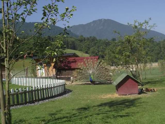 Belle vue sur la nature au cœur des Pyrénées en colo de vacances à la montagne