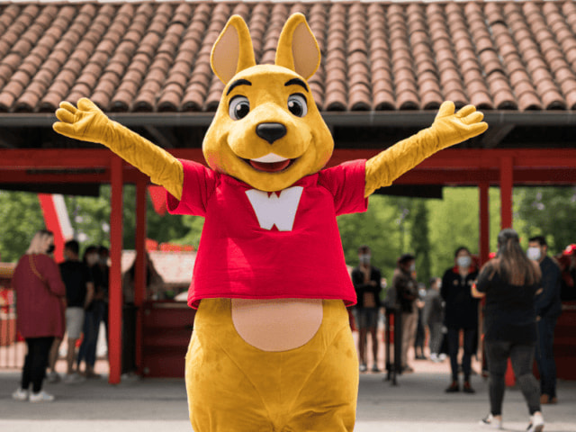 Sortie à Walibi pour les jeunes en colonie de vacances Manga durant les vacances de la Toussaint