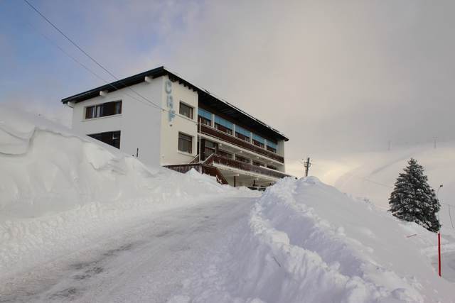 colonie-hiver-chalet-chamrousse
