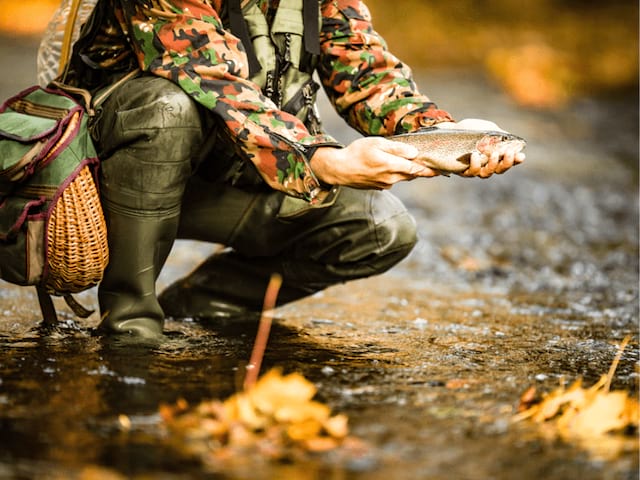 Vue d'un trappeur canadien qui explique aux jeunes le parcours des poissons dans les courants 