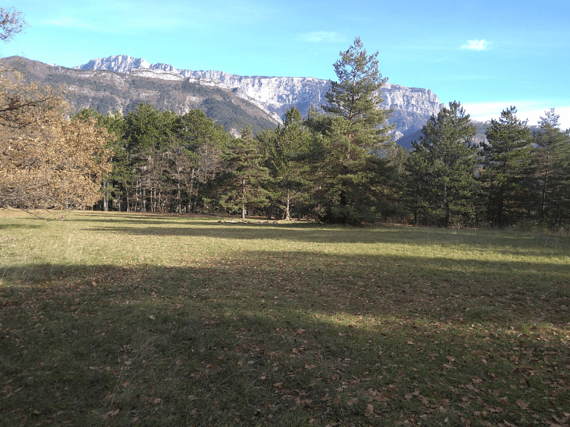 Champs dans lequel les jeunes s'amusent en colo de vacances cet hiver