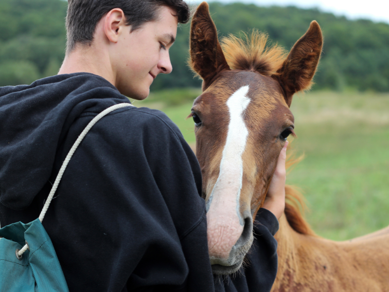Jeune ado qui prend soin de son cheval en colo de vacances Equitation
