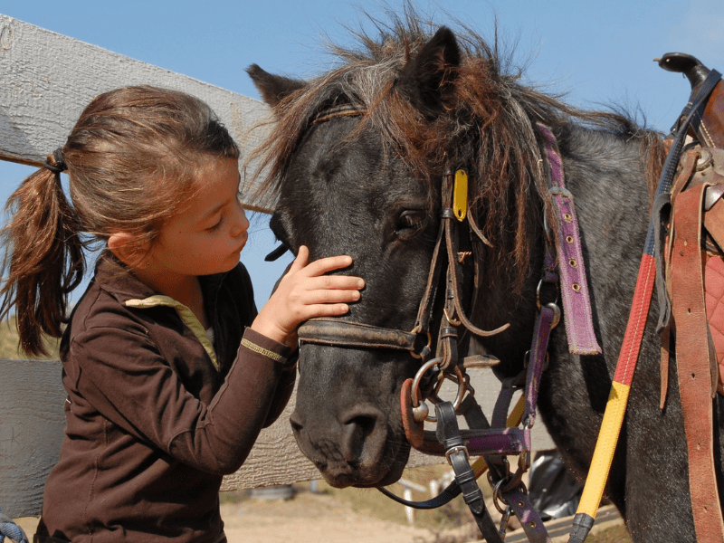 Enfant qui s'occupe de son poney en colo de vacances Equitation cet automne