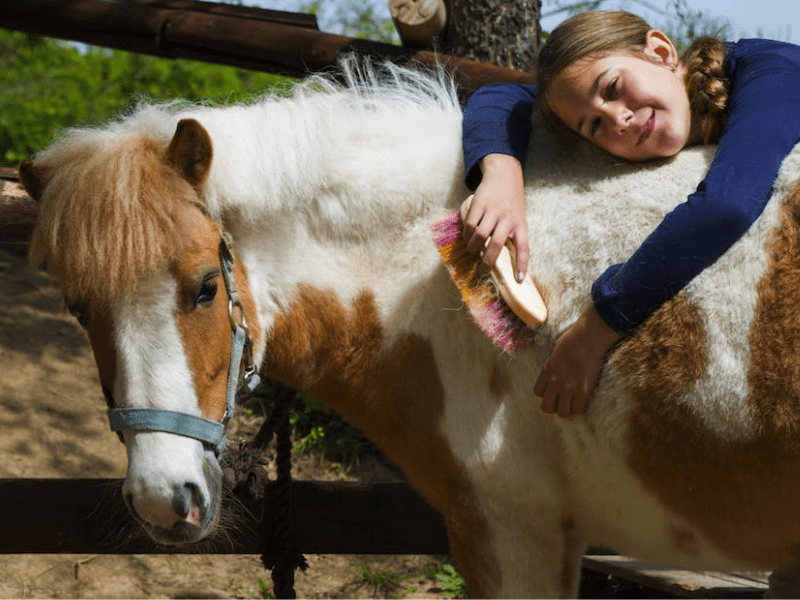 Enfant qui s'occupe de son poney en colo de vacances Equitation ce printemps